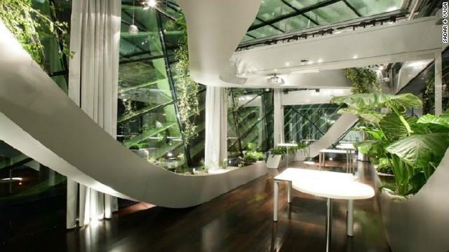 Greenery in Office - Design Trends Middle East